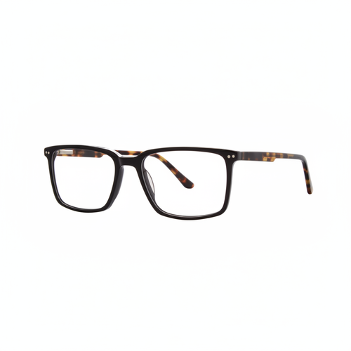Black Front Tortoiseshell Temple Frame 1:1