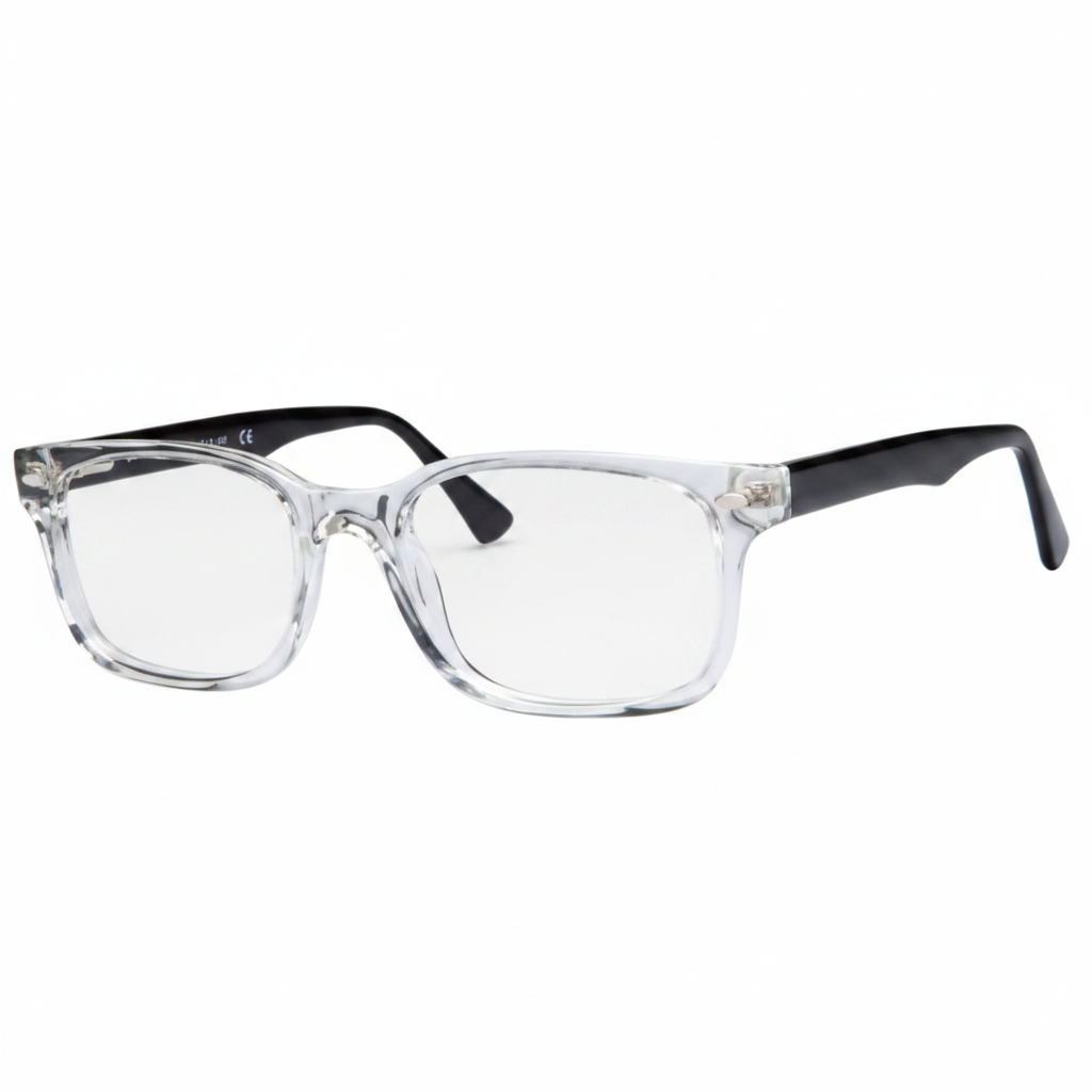 Clear Crystal & Black Temple Wayfarer Frames 1:1