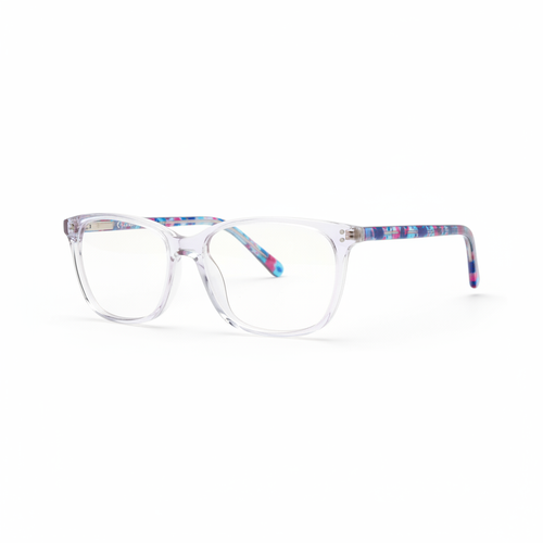 Clear Frame Glasses with Colorful Temples 1:1