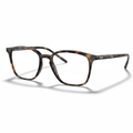 Dark Havana Tortoise Large Square Eyeglasses 1:1