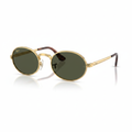 Gold Oval Sunglasses 1:1