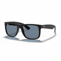 Ray-Ban Justin Matte Black Sunglasses