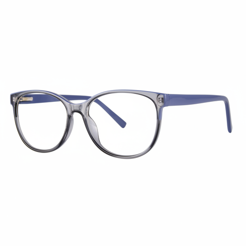 Transparent Gray and Blue Round Eyeglasses
